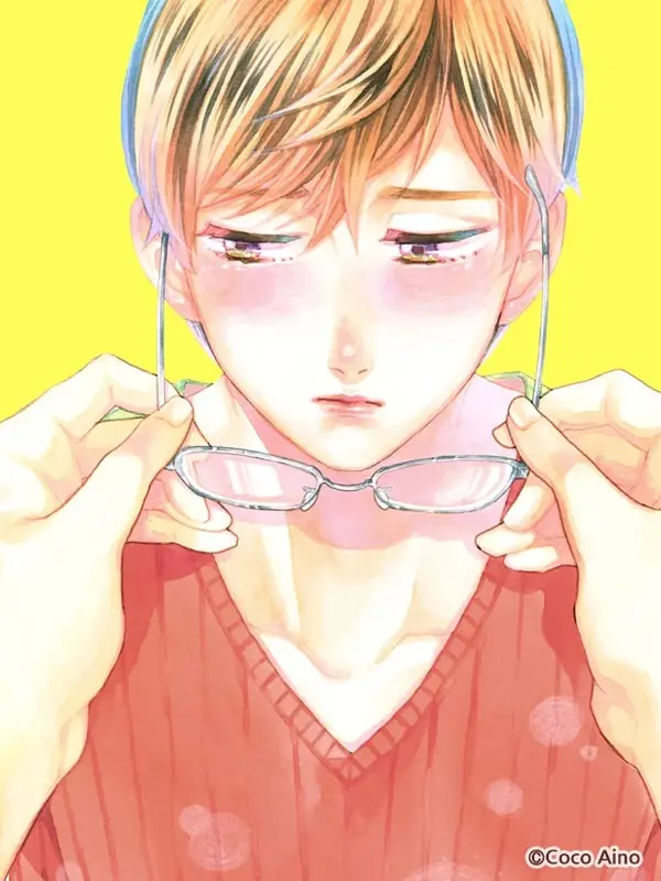 맞은편 방의 고양이
